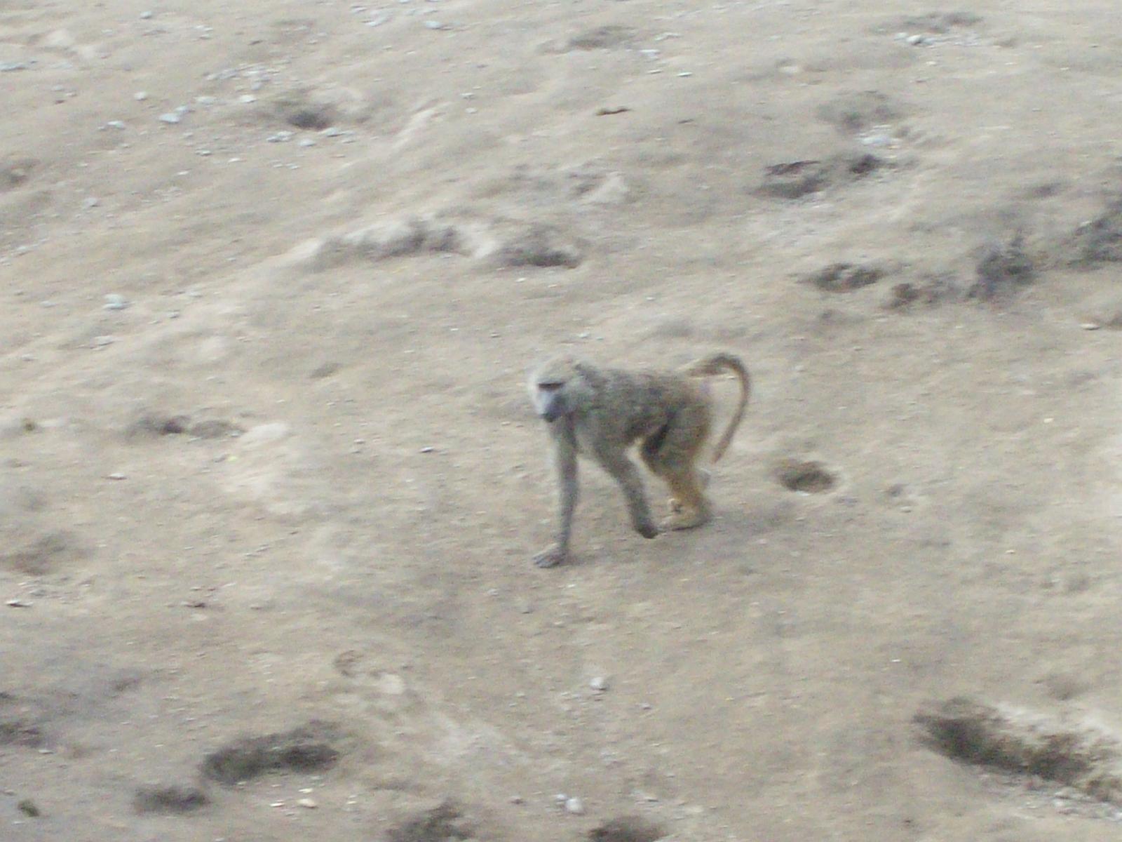 Zoom 18.10.2008-167.jpg
